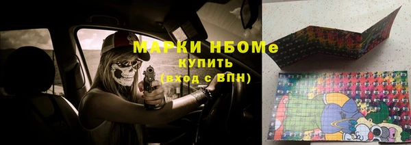 хмурый Тавда
