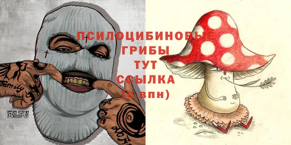 MESCALINE Аркадак