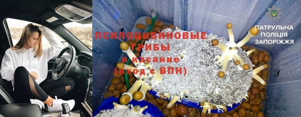 бошки Армянск