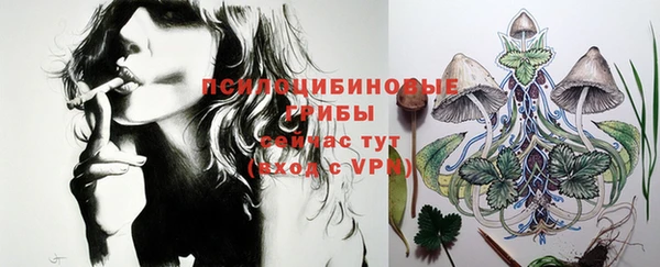 apvp Тайга