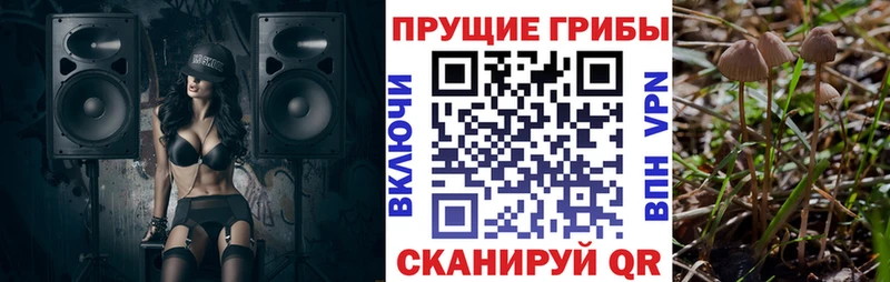МЕГА   Солнечногорск  Псилоцибиновые грибы мицелий  где купить наркотик 